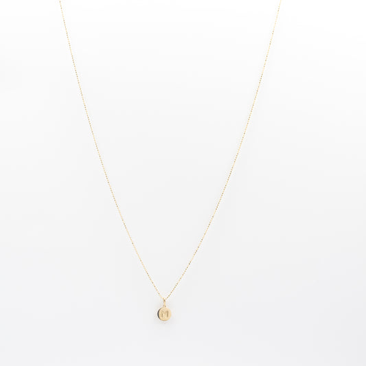 Mini Initial Disc Necklace